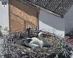 Capi_Dubne_20250501_144503.jpg