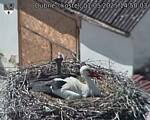 Capi_Dubne_20250501_145003.jpg