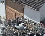 Capi_Dubne_20250501_151002.jpg