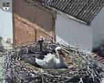 Capi_Dubne_20250501_151503.jpg