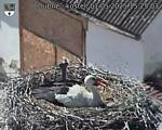 Capi_Dubne_20250501_152503.jpg