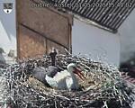 Capi_Dubne_20250501_154002.jpg