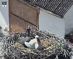 Capi_Dubne_20250501_154503.jpg