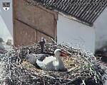 Capi_Dubne_20250501_155502.jpg