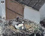 Capi_Dubne_20250501_160503.jpg