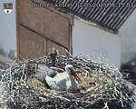 Capi_Dubne_20250501_161503.jpg