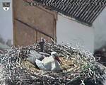 Capi_Dubne_20250501_162003.jpg
