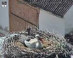 Capi_Dubne_20250501_162502.jpg