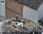 Capi_Dubne_20250501_163003.jpg
