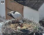 Capi_Dubne_20250501_164503.jpg