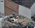 Capi_Dubne_20250501_165003.jpg