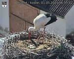 Capi_Dubne_20250501_165502.jpg