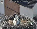Capi_Dubne_20250501_170002.jpg