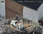 Capi_Dubne_20250501_171503.jpg