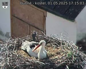 Capi_Dubne_20250501_171503.jpg (1350 x 1080)