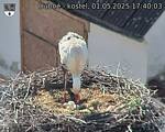 Capi_Dubne_20250501_174003.jpg