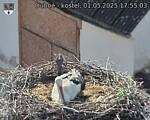 Capi_Dubne_20250501_175503.jpg