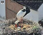 Capi_Dubne_20250501_181503.jpg