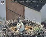 Capi_Dubne_20250501_182003.jpg