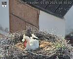 Capi_Dubne_20250501_183002.jpg