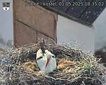 Capi_Dubne_20250501_183502.jpg