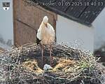 Capi_Dubne_20250501_184003.jpg