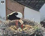 Capi_Dubne_20250501_185002.jpg