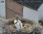 Capi_Dubne_20250501_190003.jpg