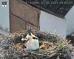 Capi_Dubne_20250501_190503.jpg