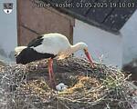 Capi_Dubne_20250501_191003.jpg