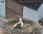 Capi_Dubne_20250501_191503.jpg