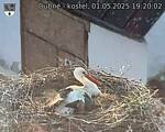 Capi_Dubne_20250501_192002.jpg
