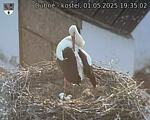 Capi_Dubne_20250501_193502.jpg