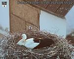 Capi_Dubne_20250501_195502.jpg