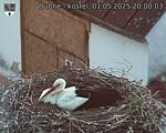 Capi_Dubne_20250501_200003.jpg