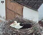 Capi_Dubne_20250501_201002.jpg