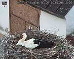 Capi_Dubne_20250501_201503.jpg
