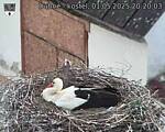Capi_Dubne_20250501_202003.jpg