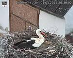 Capi_Dubne_20250501_203002.jpg