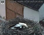 Capi_Dubne_20250501_203502.jpg