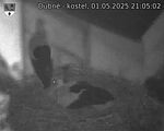 Capi_Dubne_20250501_210502.jpg
