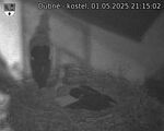 Capi_Dubne_20250501_211502.jpg