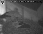 Capi_Dubne_20250501_212502.jpg