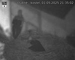 Capi_Dubne_20250501_213502.jpg