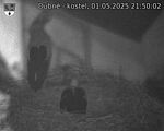 Capi_Dubne_20250501_215002.jpg