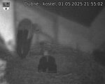 Capi_Dubne_20250501_215502.jpg