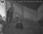 Capi_Dubne_20250501_220003.jpg