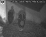Capi_Dubne_20250501_221503.jpg