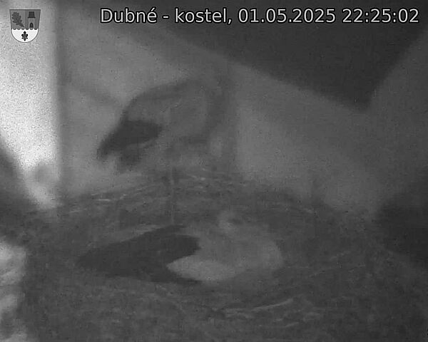 Capi_Dubne_20250501_222502.jpg (1350 x 1080)