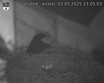 Capi_Dubne_20250501_230503.jpg